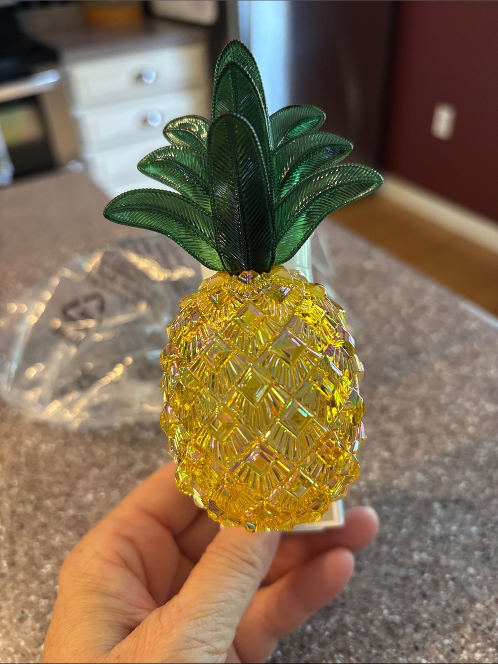 NWT wallflower plug